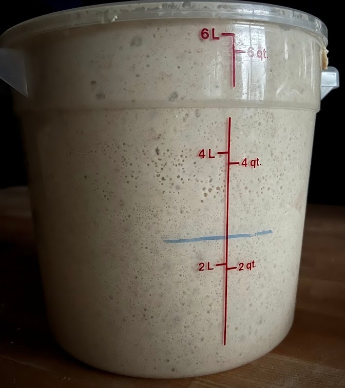 Should I keep my starter in the fridge or on the counter?