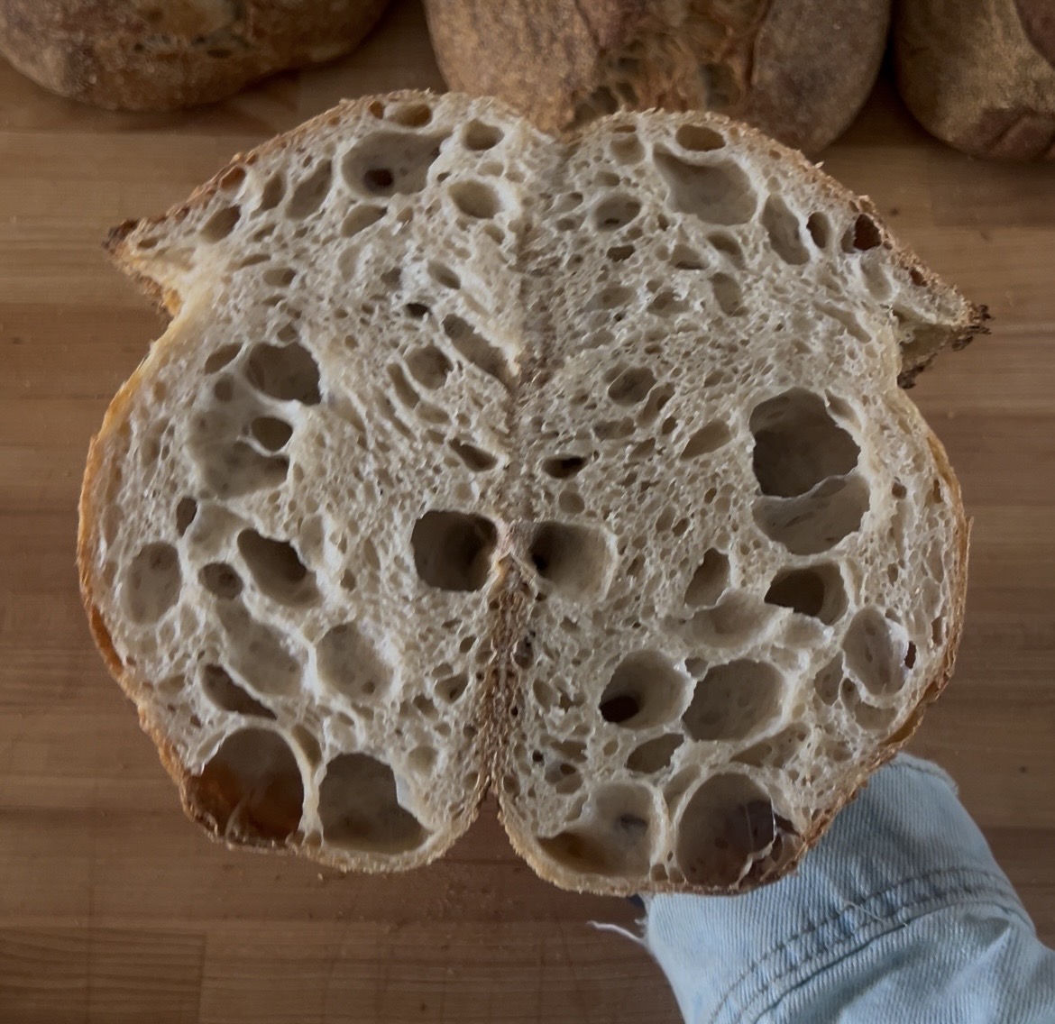 10% whole wheat- and very under-fermented! I am not used to so much white flour anymore. It takes forever to be ready!