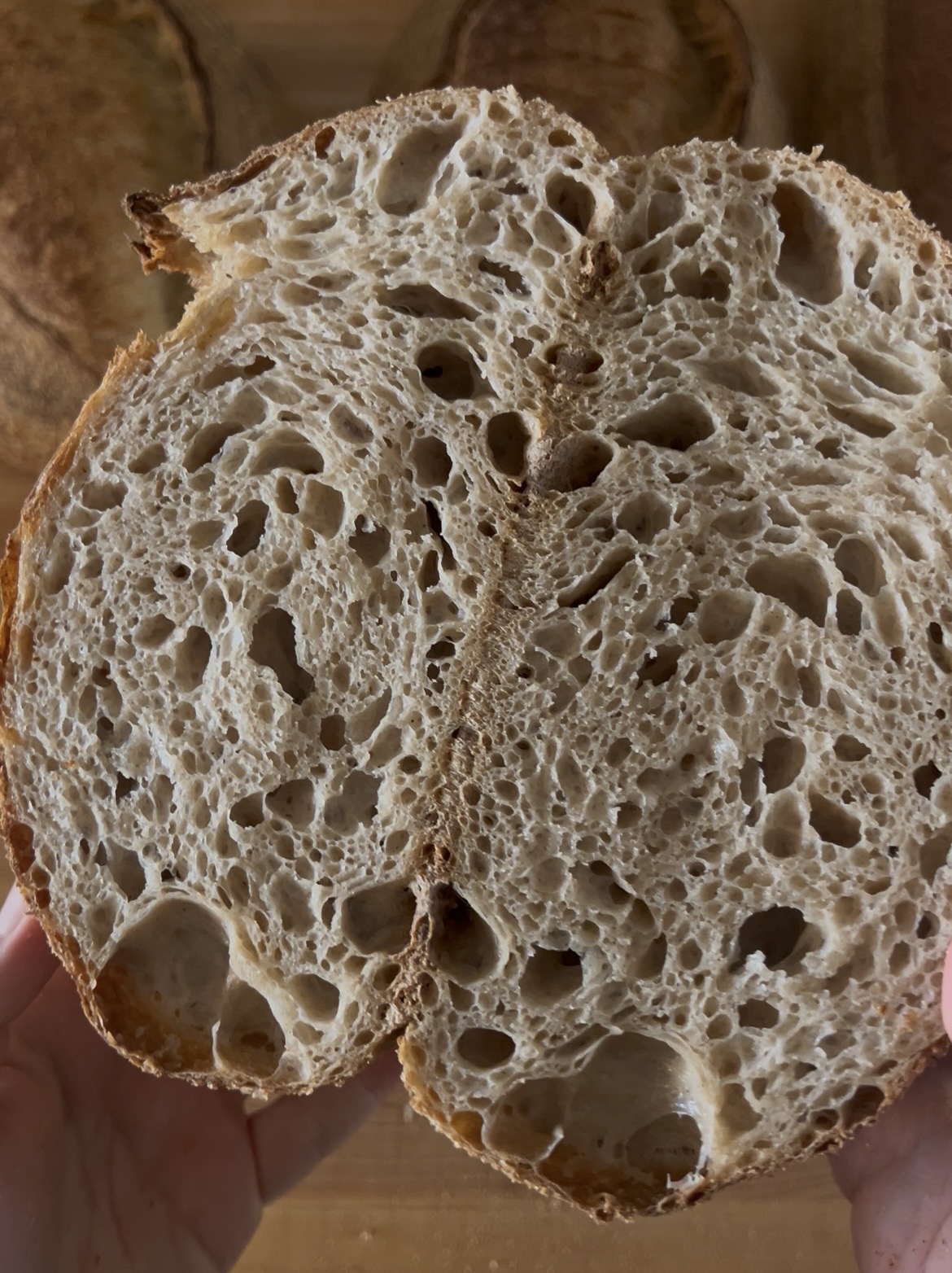 30% whole wheat and the rest is bread flour + whole wheat starter.