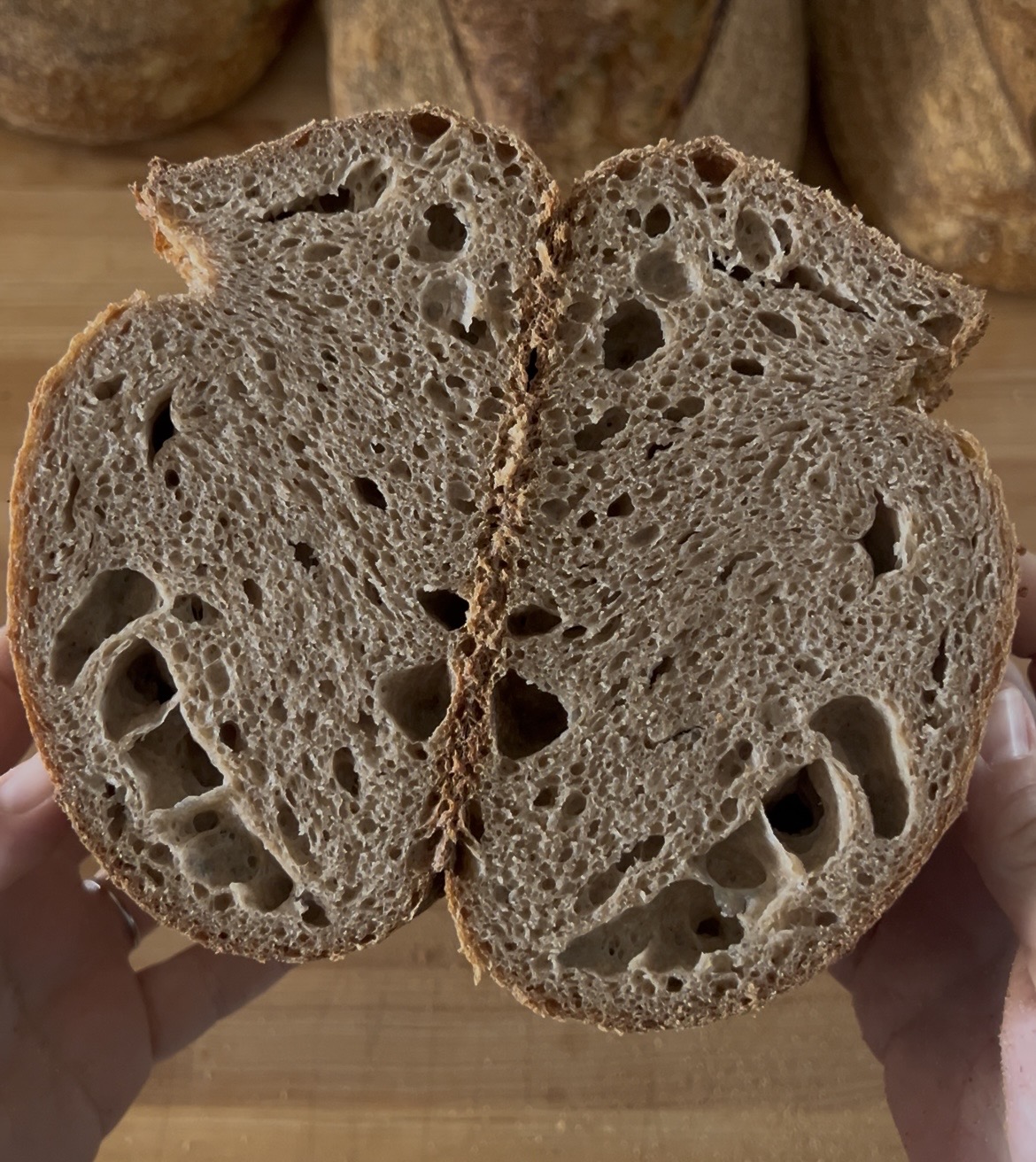 100% whole wheat. It’s definitely under-fermented and needed more water. That’s ok, I’m learning just like you are! I made notes for next time, and we still enjoyed eating this.