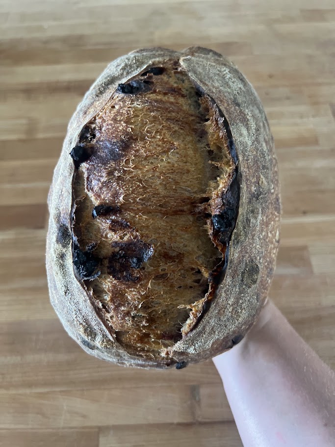 Blueberry lemon loaf, person holding it in their hand
