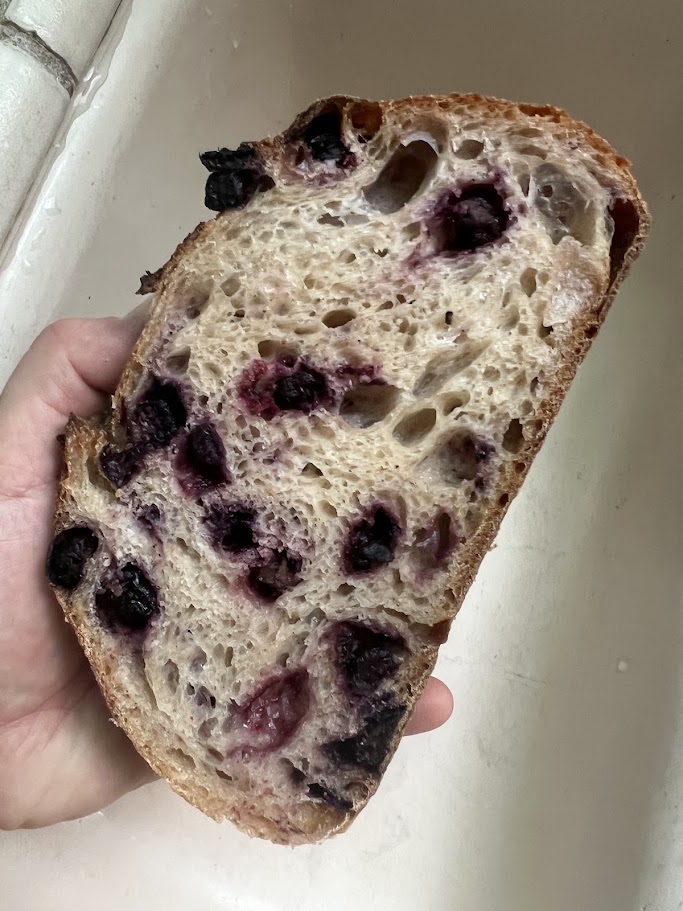 Here’s the freeze dried crumb, you can see the even distribution.