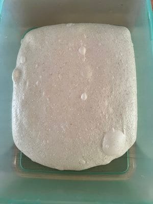Out of the fridge after two days: flat, bubbly, and square from the dish