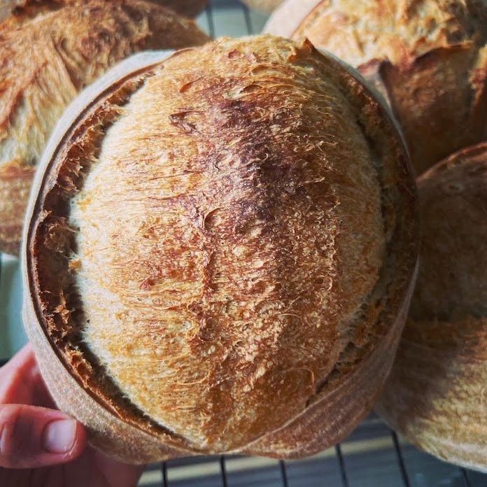 Rustic country sourdough loaf with scored crust