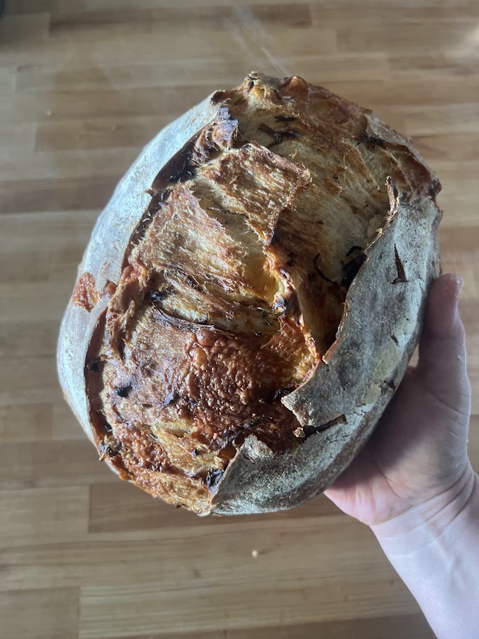 A hand holding a baked french onion sourdough loaf with a deeply caramelized, cheese-crusted score over a butcher block