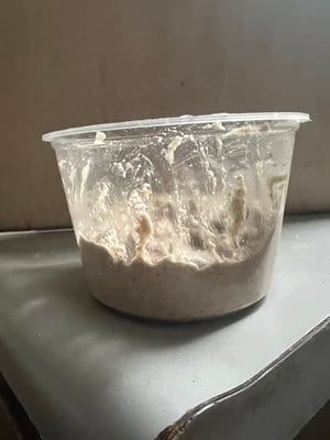 Levain just mixed