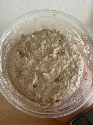 Levain after 5 hours in a warm spot, bubbly and domed