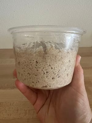 Risen levain, side view
