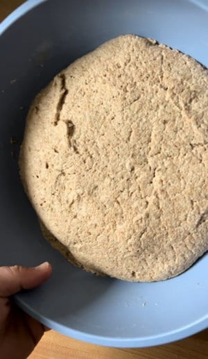 After fermenting: domed, with bubbles under the surface