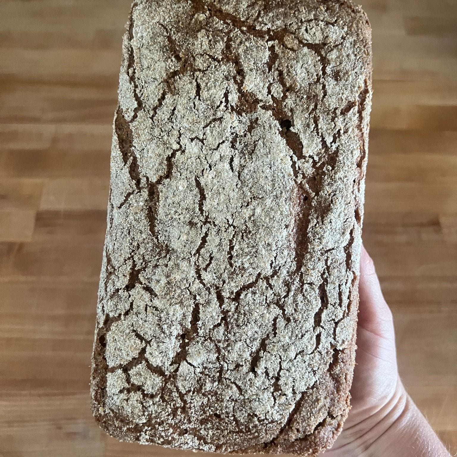 German-style rye loaf, dense and dark, sliced