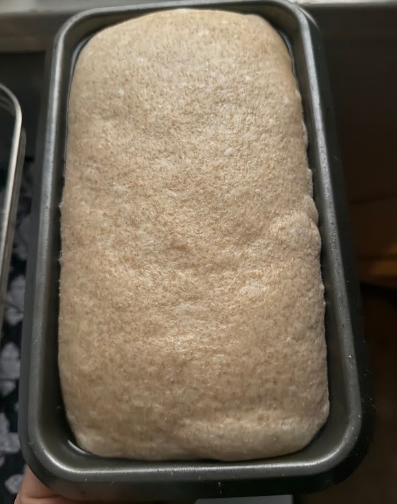 Dough after second rise.