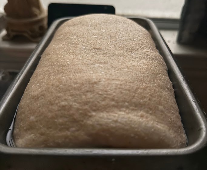 Honey N Spelt Sandwich Bread