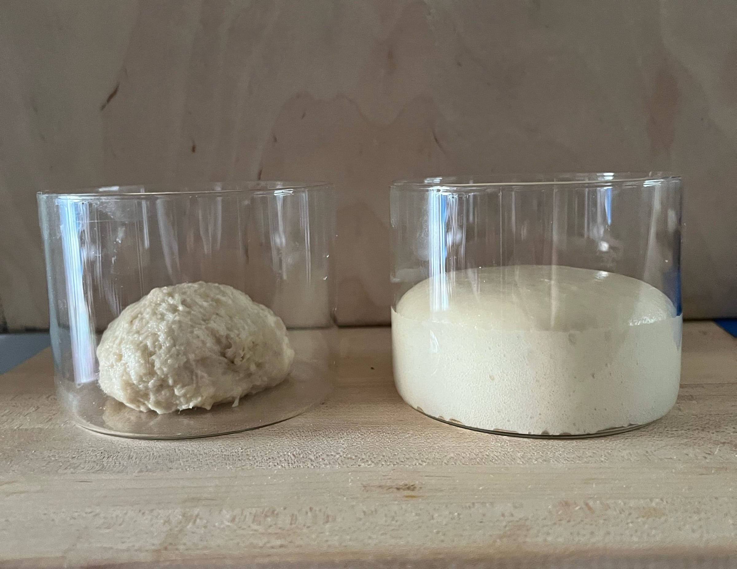 Sweet stiff starter: just mixed on the left, fully risen on the right