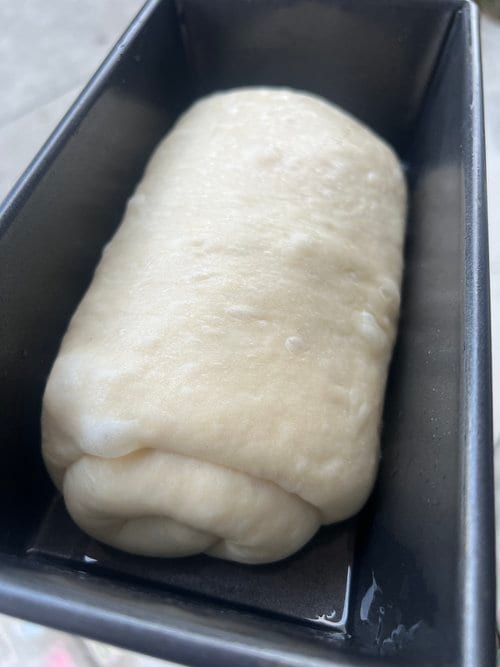 Shaped into a log and in the pan