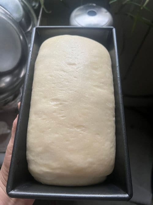 After the final proof, filling the pan