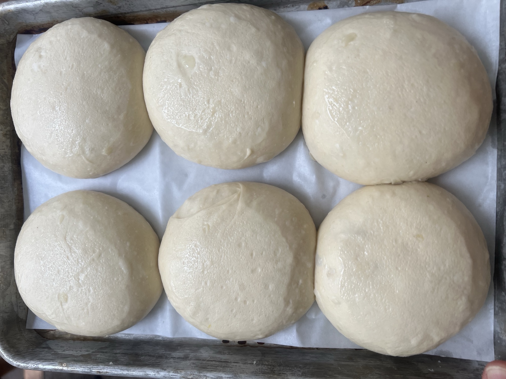 After the final proof, puffy and touching