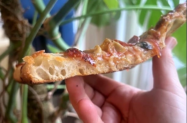 Same-day sourdough pizza topped with melted cheese and vegetables