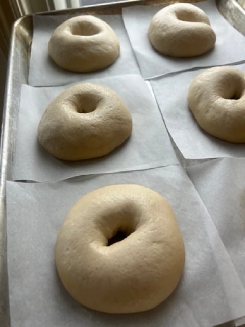 Proofed overnight on their parchment squares