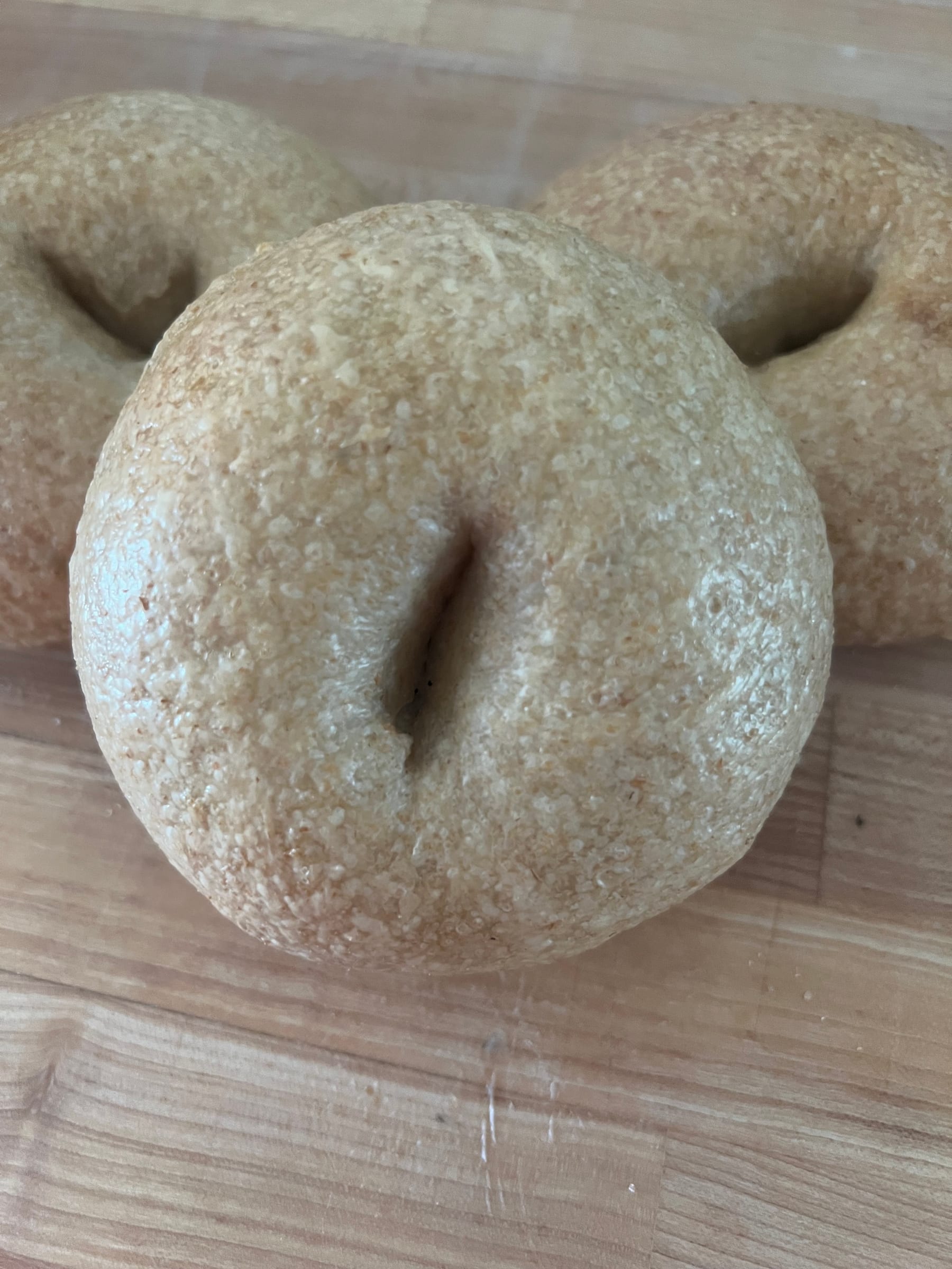 Einkorn hybrid bagels with golden crust